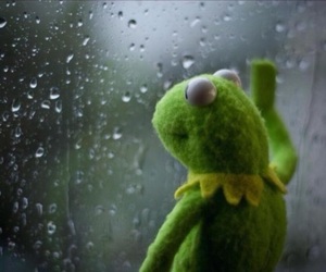 kermit.jpeg